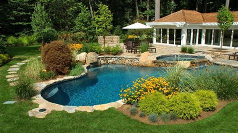 Best Pool Landscaping Plants To Consider Forbes Advisor