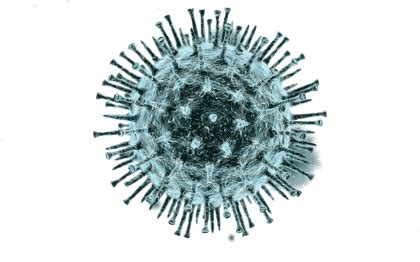 Virus PNG