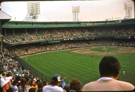 White Sox Baseball Baseball Park Detroit Tigers Baseball Vintage