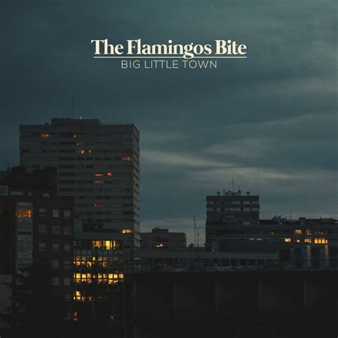 The Flamingos Bite Feat Ken Stringfellow North Bridge Edit Lyrics