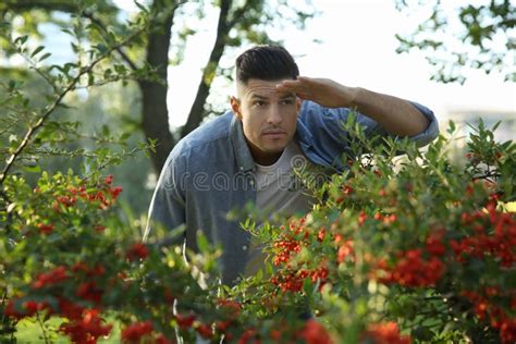 Jealous Man Spying On Ex Girlfriend In Park Stock Photo Image Of