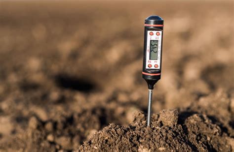 Soil Testing Tips For The Perfect Fertilizer Application Smart Talk