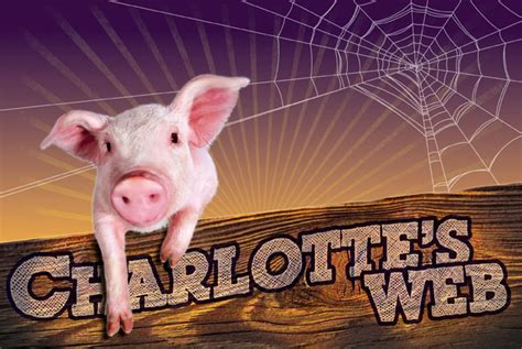 Why was the charlotte's web book so popular? Charlotte's Web