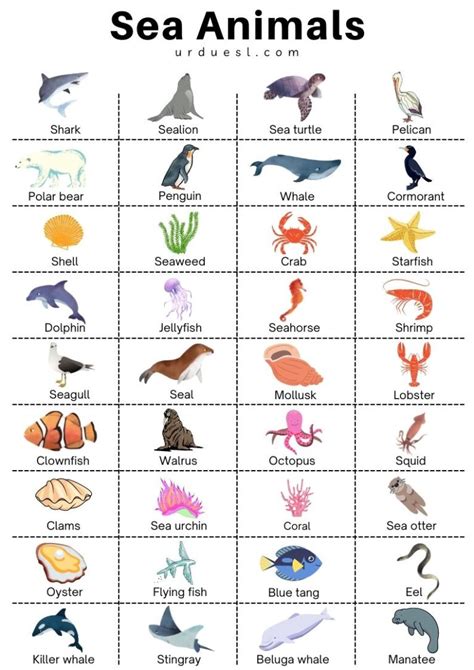 List Of 85 Sea And Aquatic Animal Names With Pictures