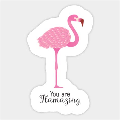 You Are Flamazing Flamingo Design Flamingo Sticker Teepublic