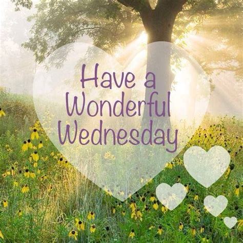 Have A Wonderful Wednesday Pictures Photos And Images For Facebook