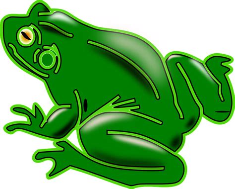 Free Vector Graphic Frog Amphibian Tree Frog Green Free Image On