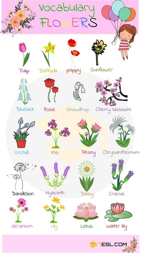 List Of Flowers 200 Flower Names With Beautiful Images 7esl