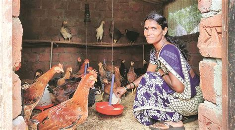 In Raigad Maharashtra — Women Take Up Poultry Farming Stop Migration