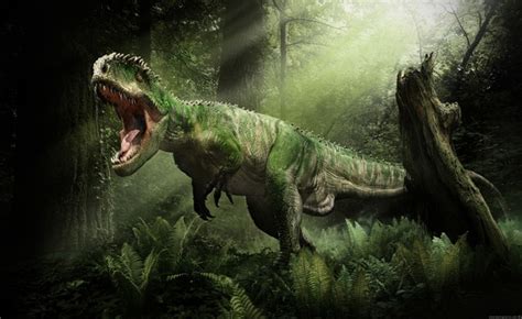 The giganotosaurus wins this round. Giganotosaurus vs T. rex, who is the deadliest predator ...