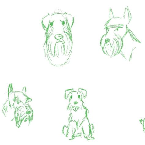 How To Draw A Miniature Schnauzer Step By Step Helton Befornes