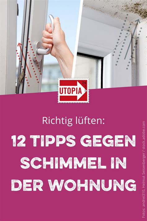 Feuchtigkeit entsteht in der wohnung unter anderem durch kochen und. Richtig lüften: 12 Tipps gegen Schimmel in der Wohnung ...