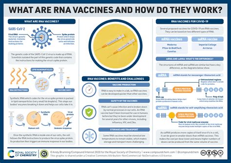 The inventor of the mrna vaccine technology that went into some covid vaccines told tucker carlson tonight on wednesday that youtube deleted a video in which he discussed his concerns. Infographic: What are mRNA COVID-19 vaccines and how do ...