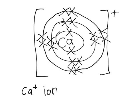 Calcium Ion Science Showme