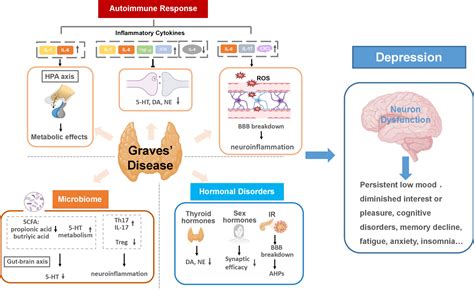 Frontiers Graves Disease As A Driver Of Depression A Mechanistic
