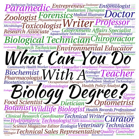 What Can You Do With A Biology Degree Biology Classroom Teaching