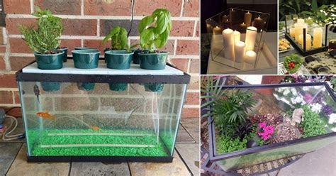 5 Awesome Ways To Repurpose A Fish Tank Old Fish Tank Uses Balcony