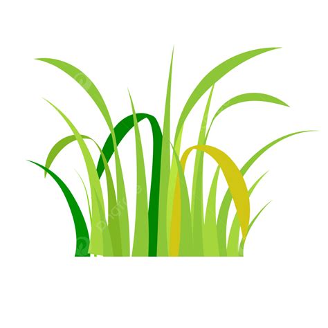 Grass Lawn Clipart Png Images Grass Court Lawn Illustration