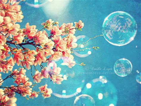 Flowers And Bubbles Wallpapers Wallpaper Cave