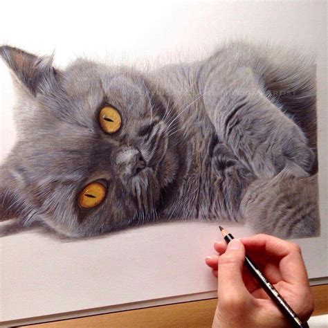 Awesome Colored Pencil Work By Claire Milligan Pet Portrait And Wildlife