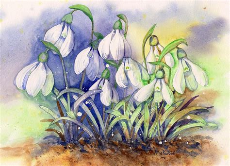 Snowdrops By Alina Kurbiel Botanical Painting Watercolor Flowers