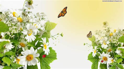 Beautiful Butterflies And Flowers Wallpapers Wallpapersafari