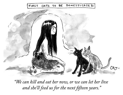 Where Were Dogs First Domesticated | lupon.gov.ph