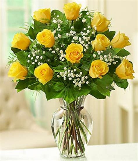 1 Dozen Yellow Roses The Flower Bowl Florist Rathgar Dublin 6