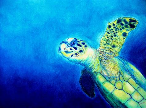 Mb Leonard Art A Year In Paintings March 1 2012 Sea Turtle