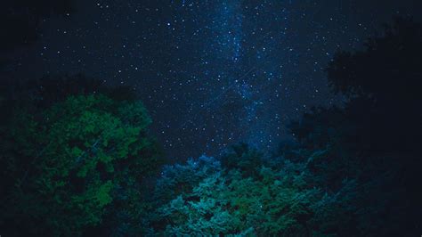 Download Wallpaper 1366x768 Starry Sky Stars Night Trees Tablet
