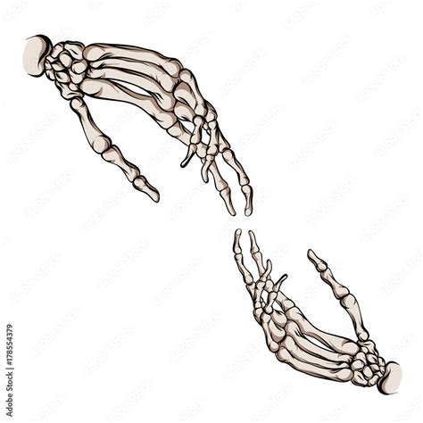 Skeleton Hands They Are Drawn To Each Other Stock Vector Adobe Stock