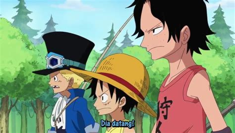 In a world mystical, there have a mystical fruit whom eat will have a special power but also have greatest weakness. one-piece-episode-499-subtitle-indonesia - Honime