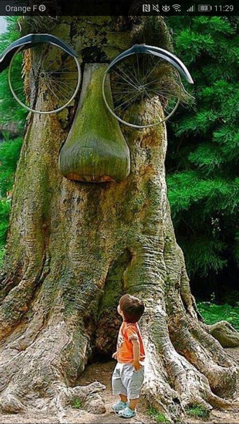 Pin By Boue Maryse On Pareidolie Weird Trees Tree Faces Unique Trees