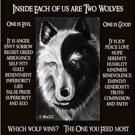The One You Feed The Most Two Wolves American Quotes Wolf Quotes