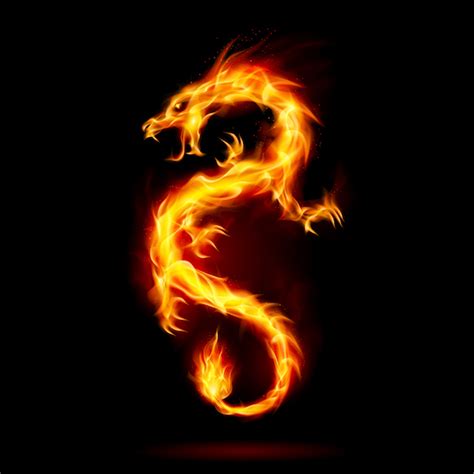 Fire Dragons Transmission Balancing Your Fire Element Within