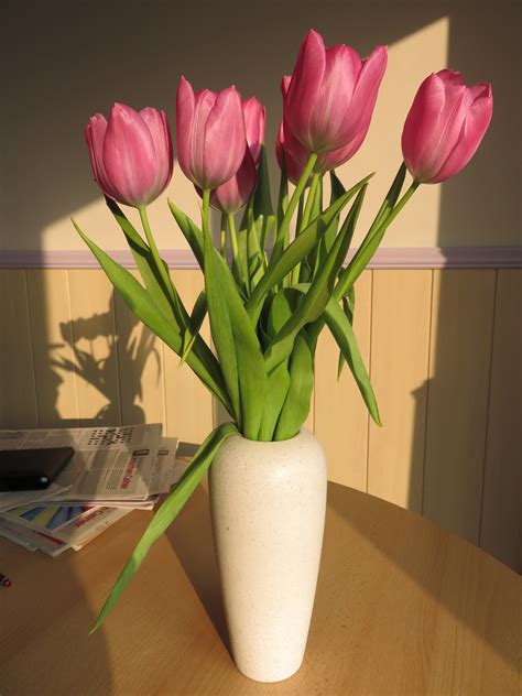 Free Images Bunch Petal Bloom Tulip Vase Decoration Pink Still
