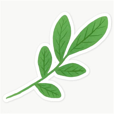 Green Leaves Sticker Transparent Png Premium Image By