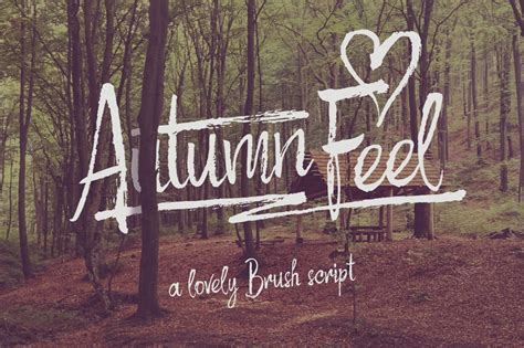 Autumn Feel Font Script Fonts Creative Market