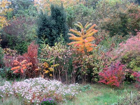 We did not find results for: Herbstarbeiten: Garten winterfest machen, pflegen, bauen ...
