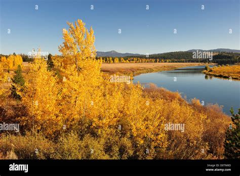 Aspen Colors Hi Res Stock Photography And Images Alamy