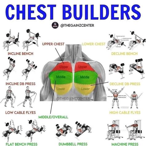 Best Chest Exercises For Men Man Of Many Chest Workout For Men Gym Workouts For Men
