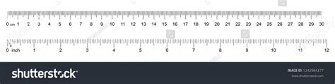 30 Centimeter Ruler