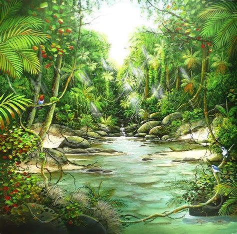 Tropical Rainforest Paintings Rainforest Animal