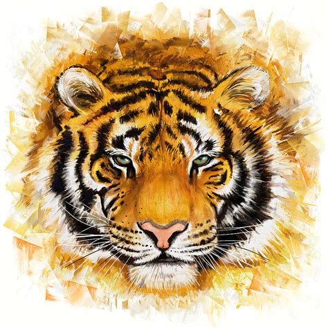 Wild Tiger Painting By Marcin Moderski Fine Art America