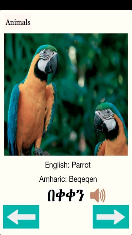 Animals Names In Amharic By Petros Asrat