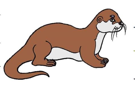 Otter Drawing Easy Step By Step How To Draw An Otter