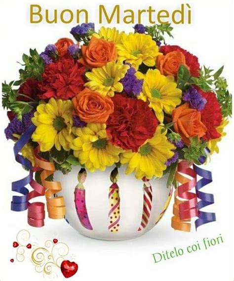 Perfette per preparare un biglietto d'auguri speciale. Belle immagini per Buon Martedì | Fiori di compleanno, Bouquet di compleanno, Bloom