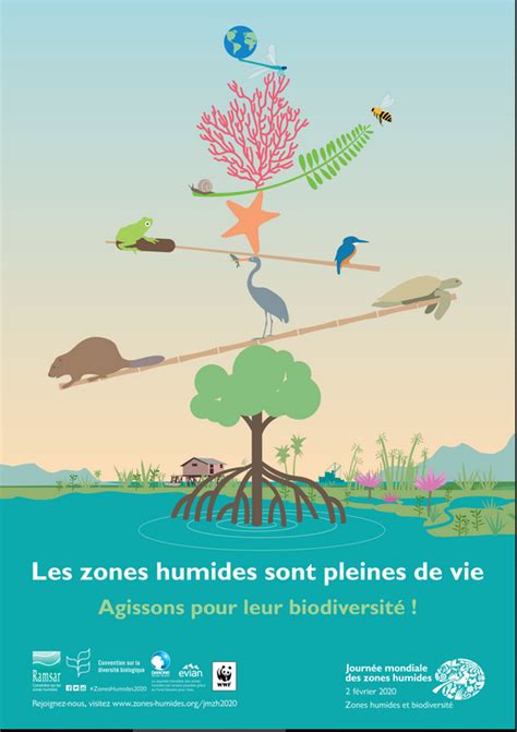 Zones humides convention de Ramsar et journée mondiale Demain la Terre