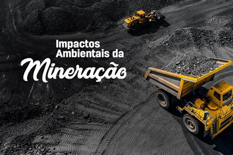 Como Minimizar Os Impactos Ambientais Da Mineração