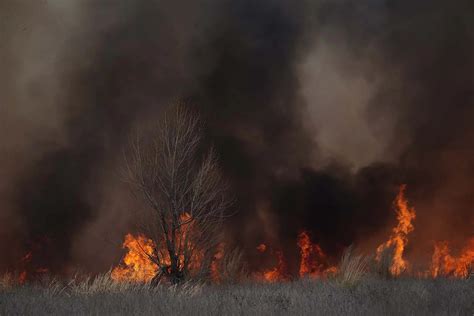 Reporte Oficial Por Los Incendios En Argentina Los Focos Activos